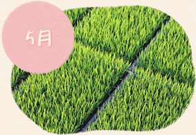 5月