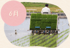 6月