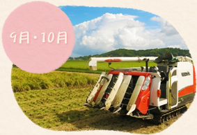 9月・10月