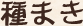 種まき
