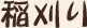 稲刈り